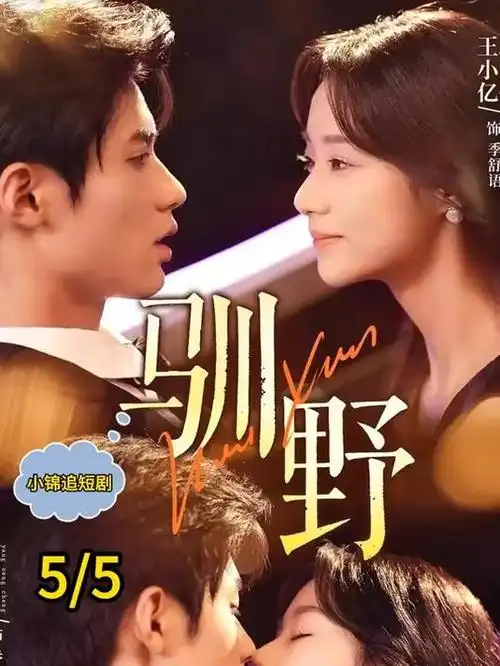 都市剧集周历在投票榜单中排名第二